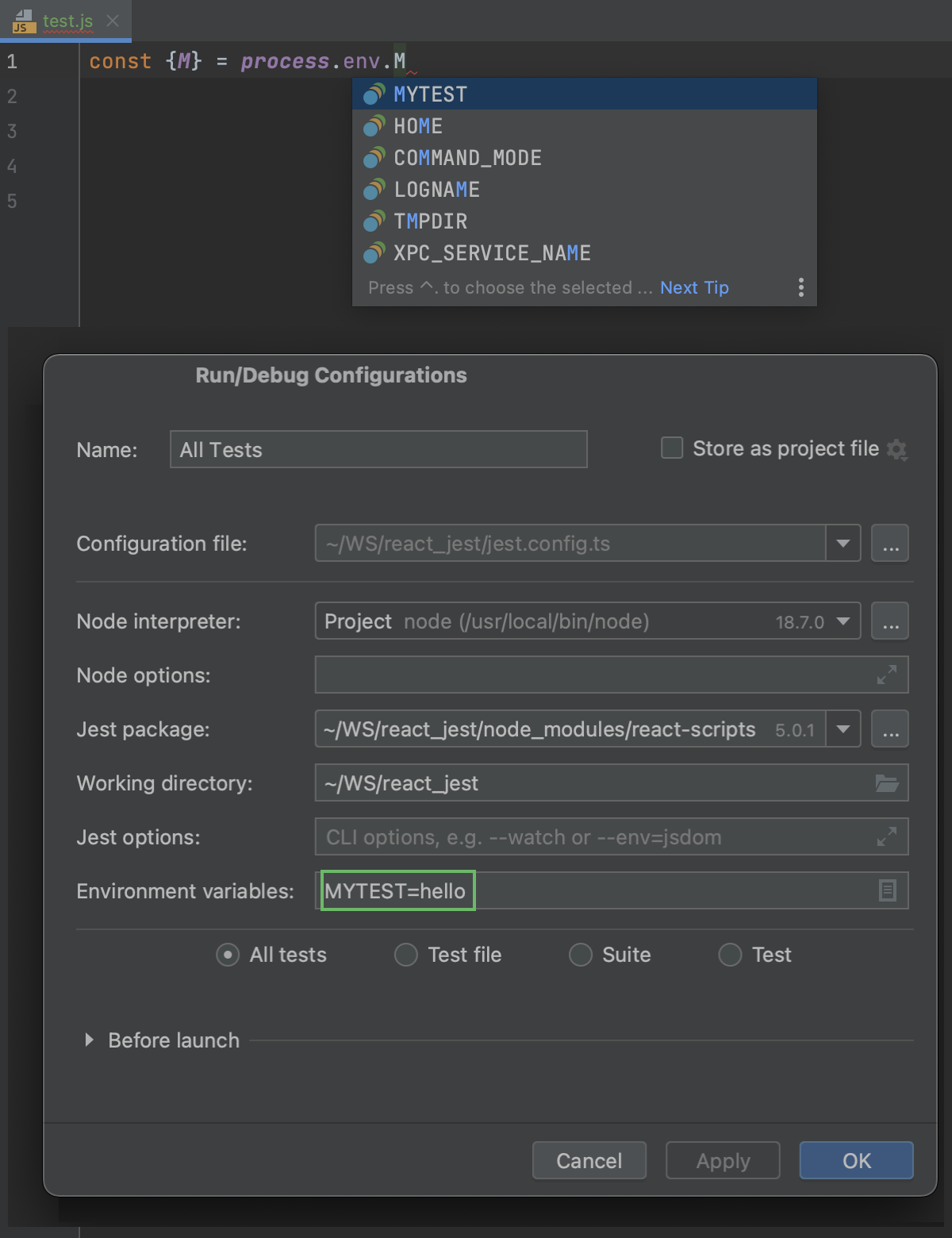 Jest JetBrains Rider Documentation