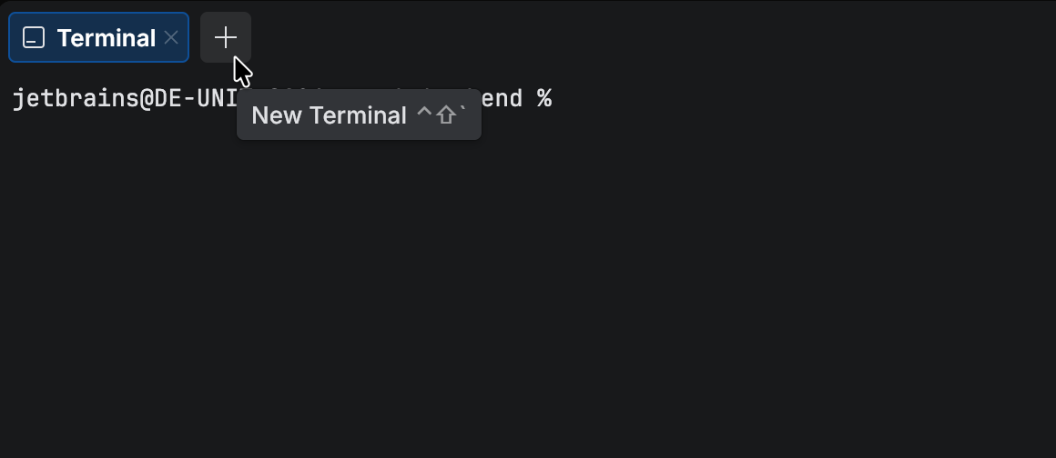 New Terminal session