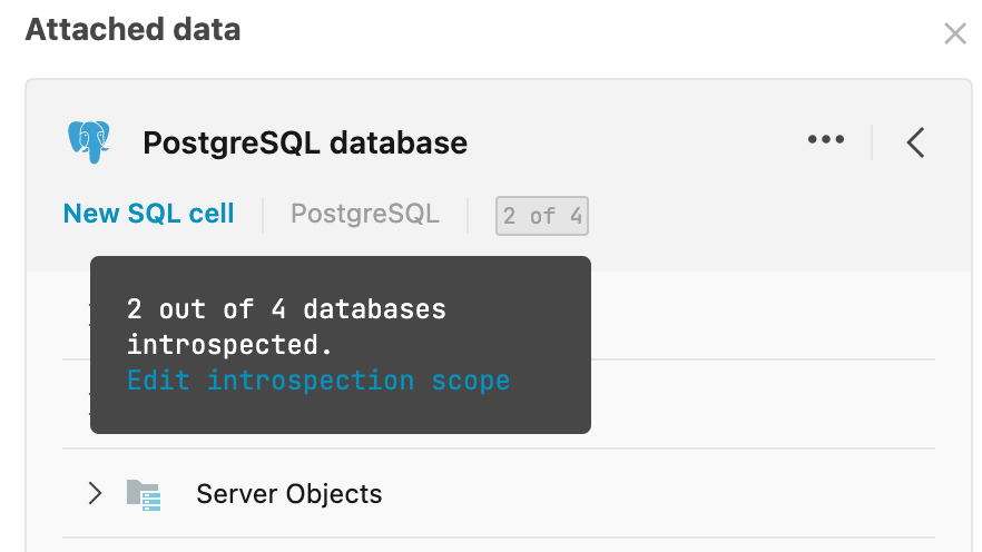 Introspected schemas