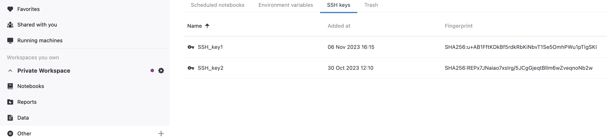 SSH keys tab