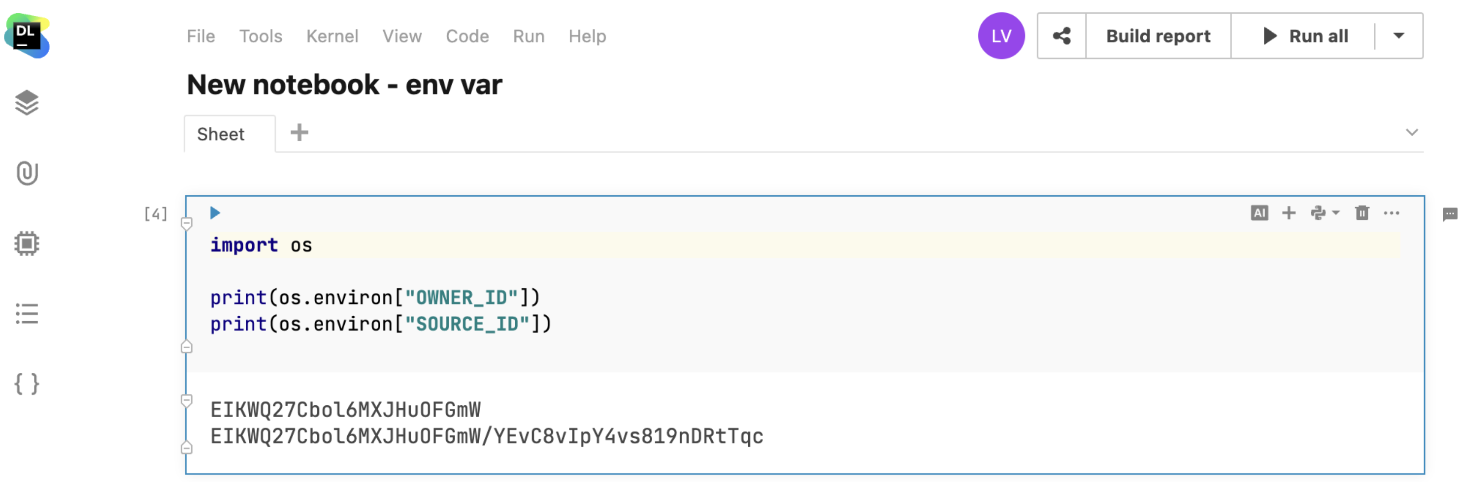 Accessing notebook identification environment variables