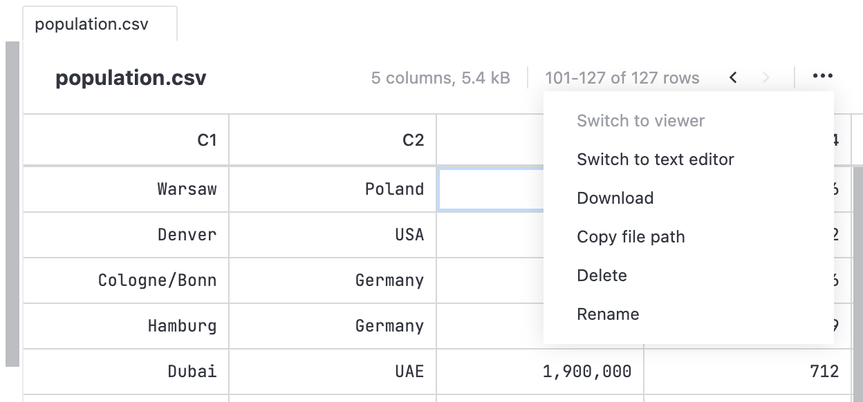 File viewer menu