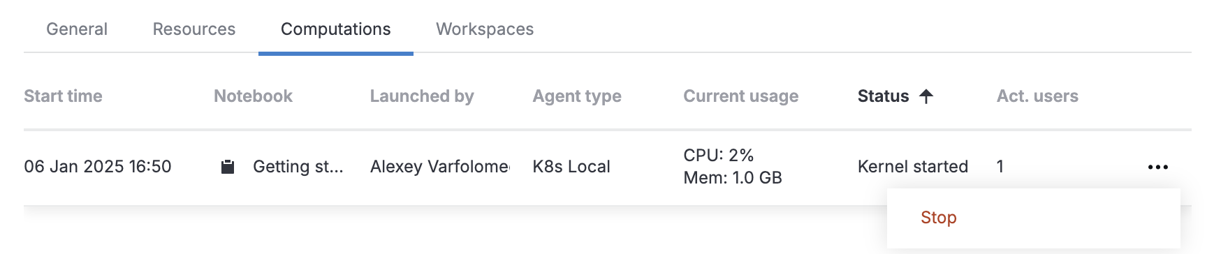 Stopping a computation Stopping a computation