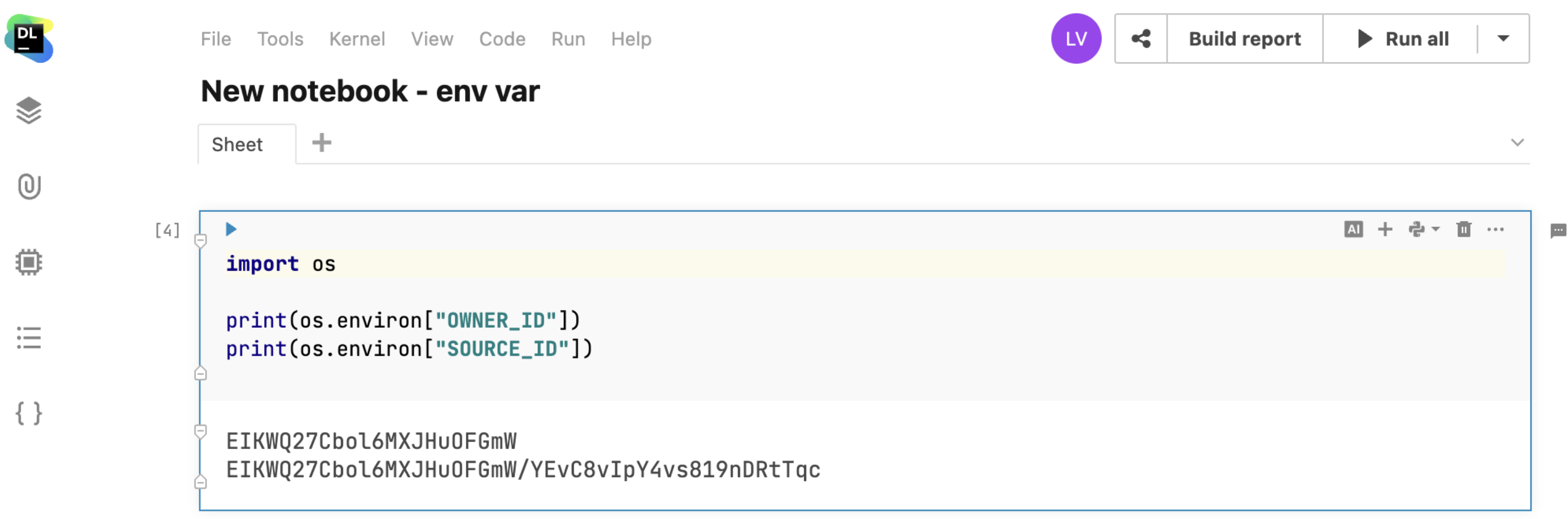 Screenshot of predefined variables accessed in a Python code cell