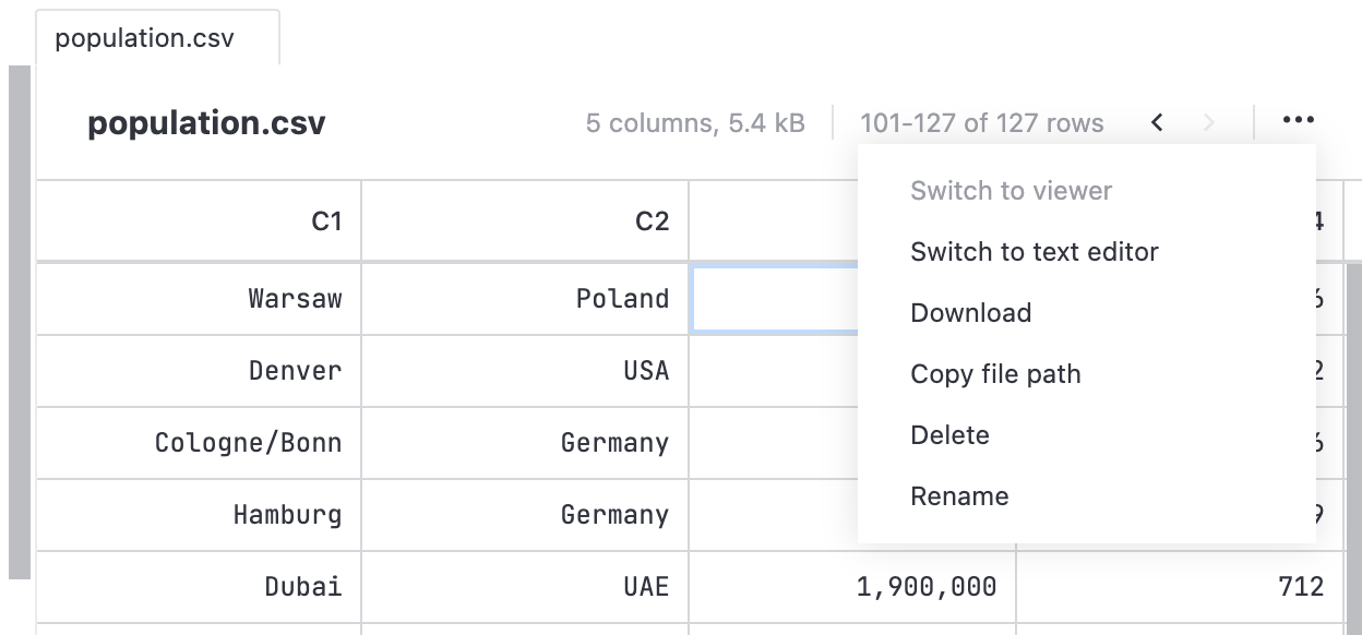 File viewer menu File viewer menu