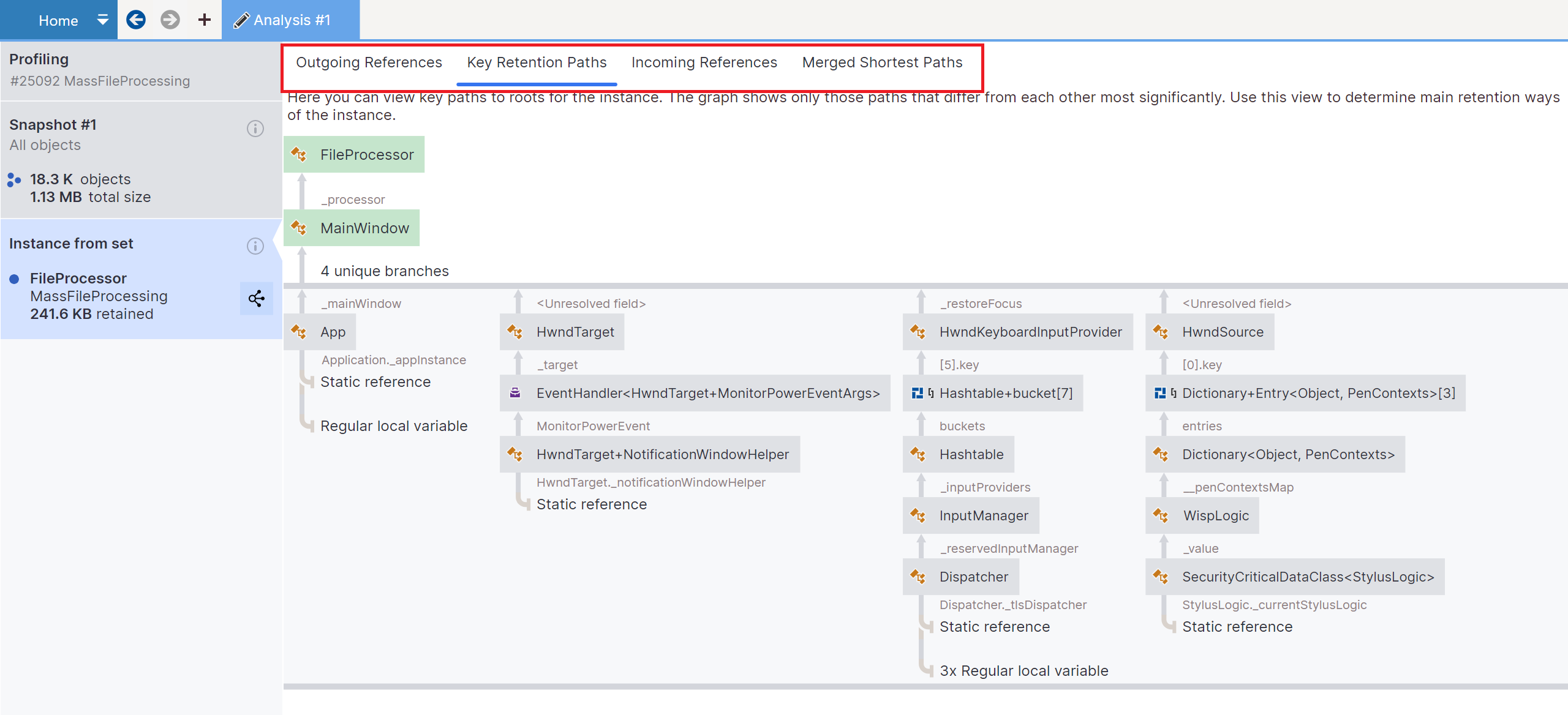 dotMemory: Analyzing an instance views