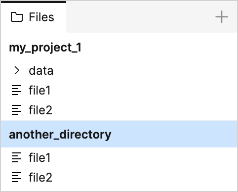 The attached directory appears in the Files tool