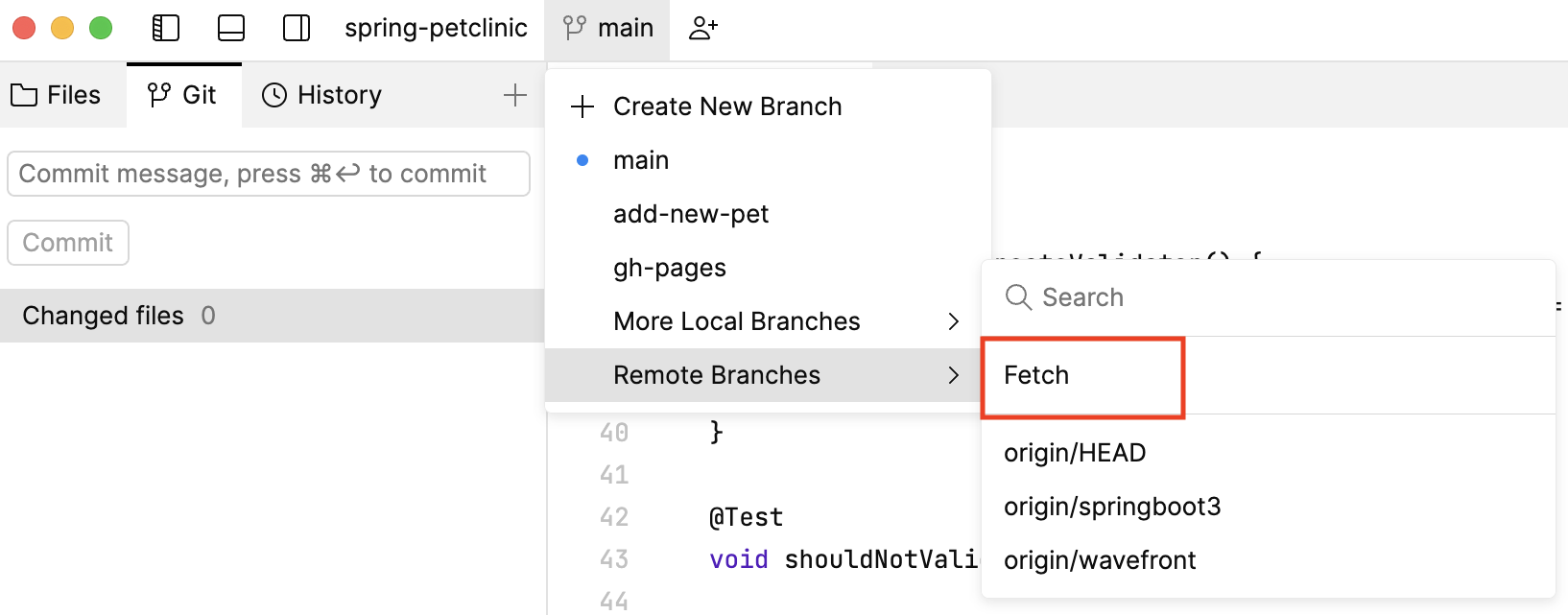 Fetch option in the branches menu