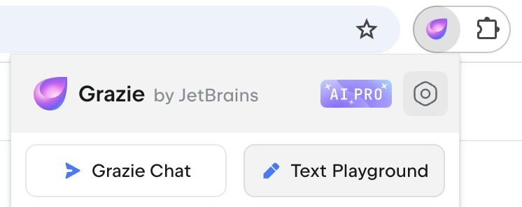 Text Playground button