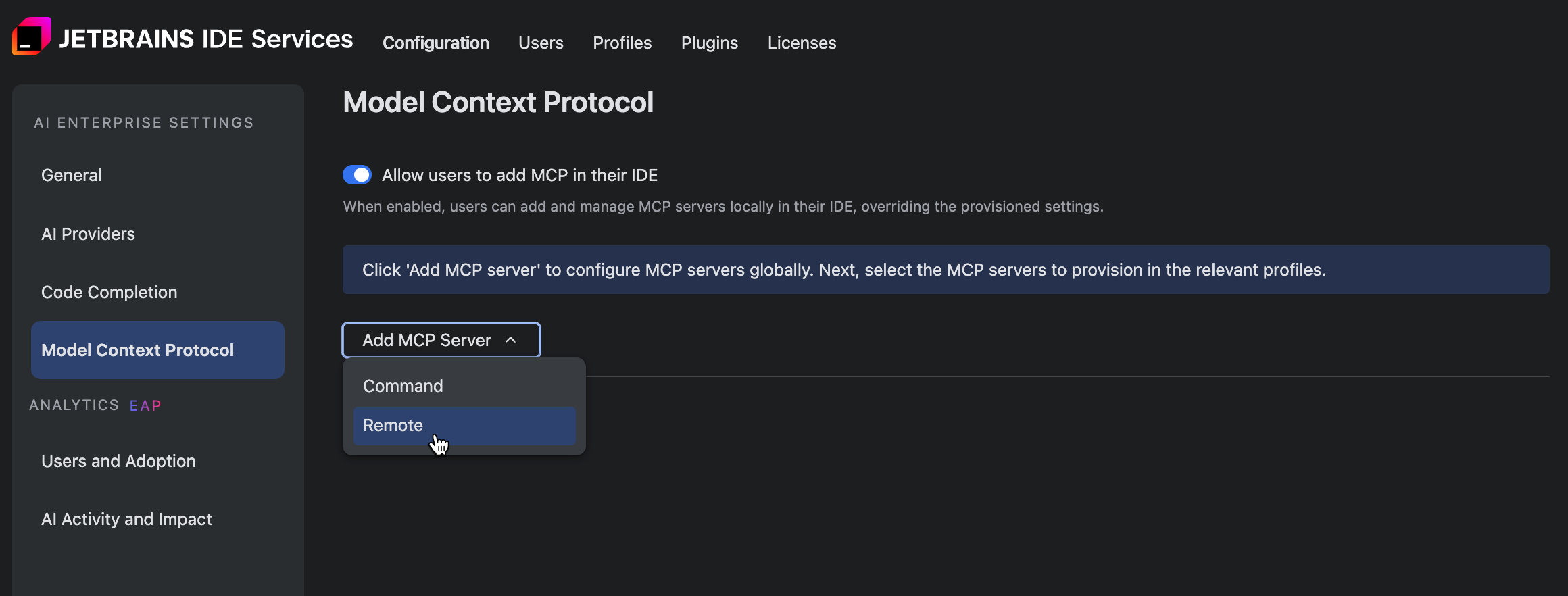 Manage AI Enterprise | IDE Services Cloud Documentation