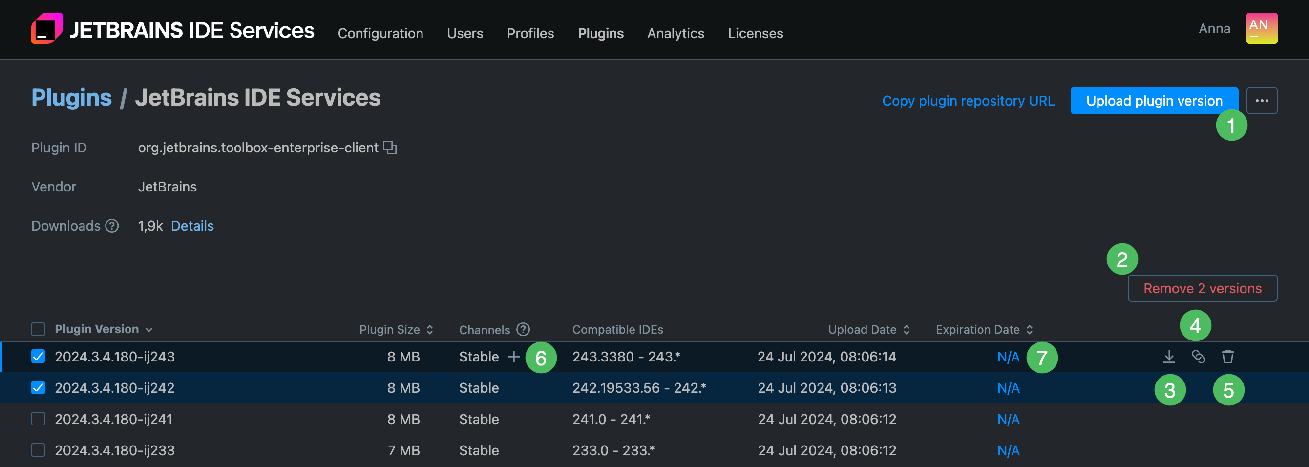 Private plugin repository | IDE Services Documentation
