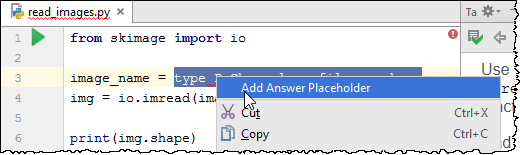 pe_add_answer_placeholder