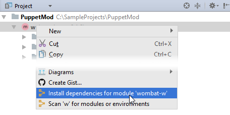 puppet install dependencies