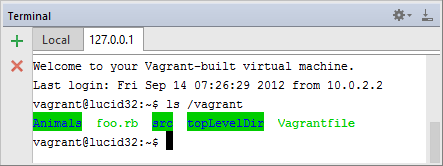 rm vagrant path mapping