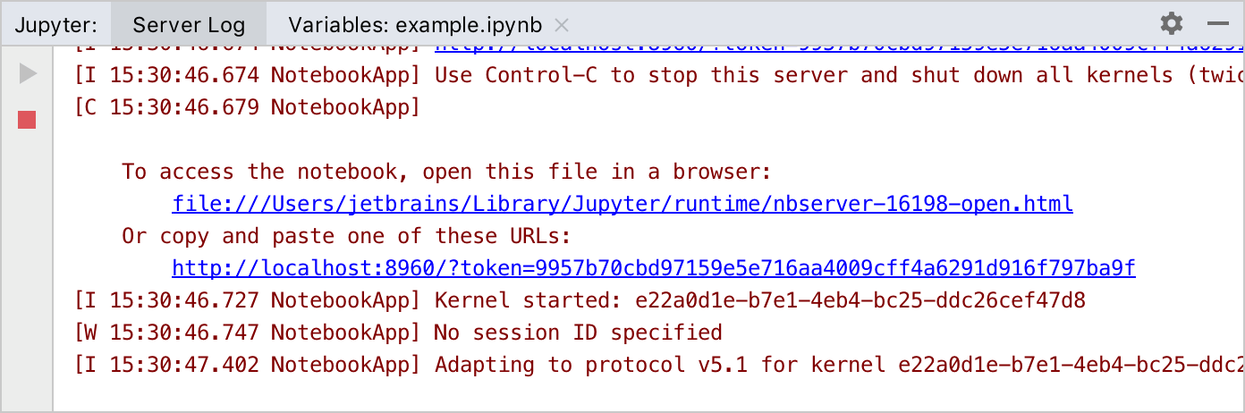 Jupyter server is running. Jupyter tool window