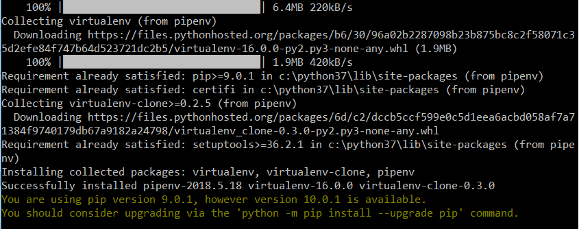 System response on successful pipenv installation