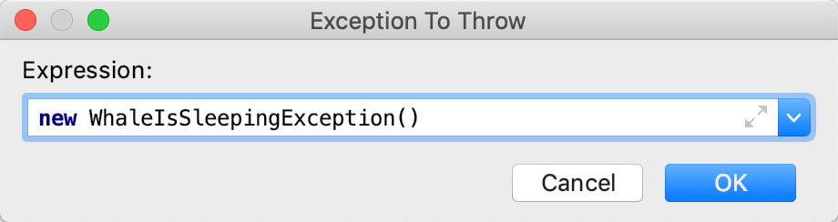 Exception To Throw dialog