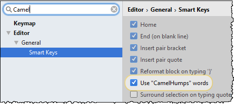 the CamelHumps option shown in the settings