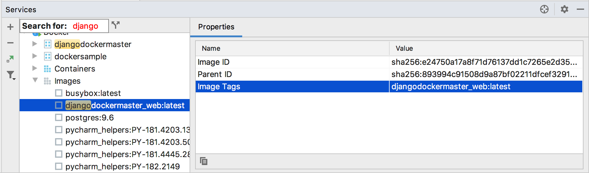 Search for a docker image in the Services tool window Search for a docker image in the Services tool window