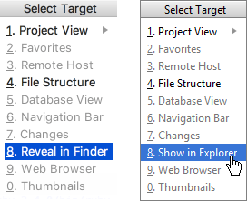 reveal in explorer finder reveal in explorer finder
