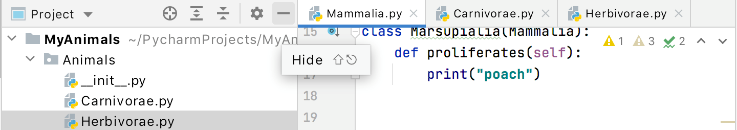 Hide the Project window Hide the Project window