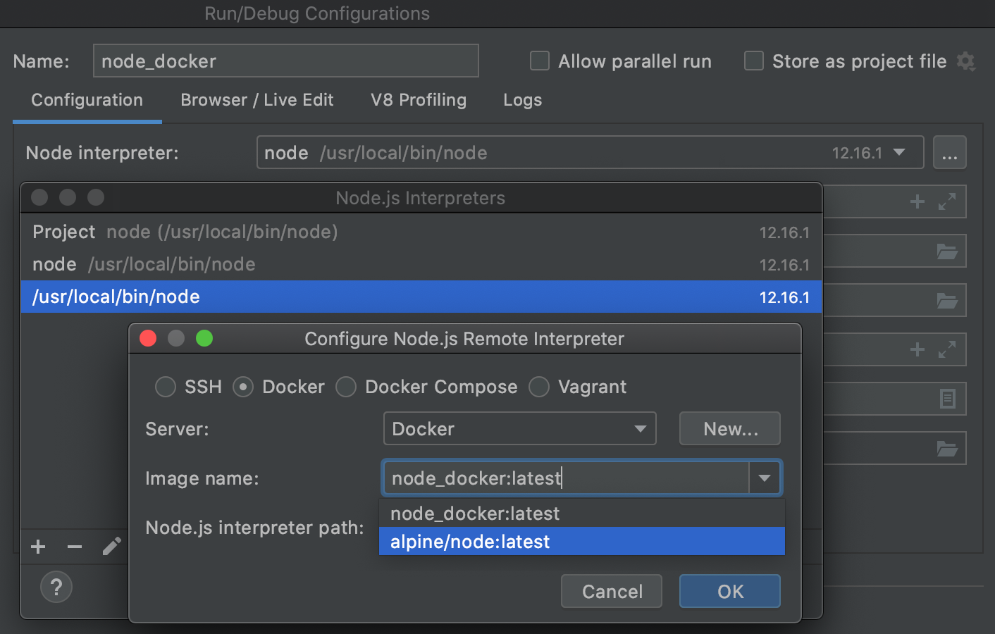 Configuring a remote Node.js interpreter on Docker