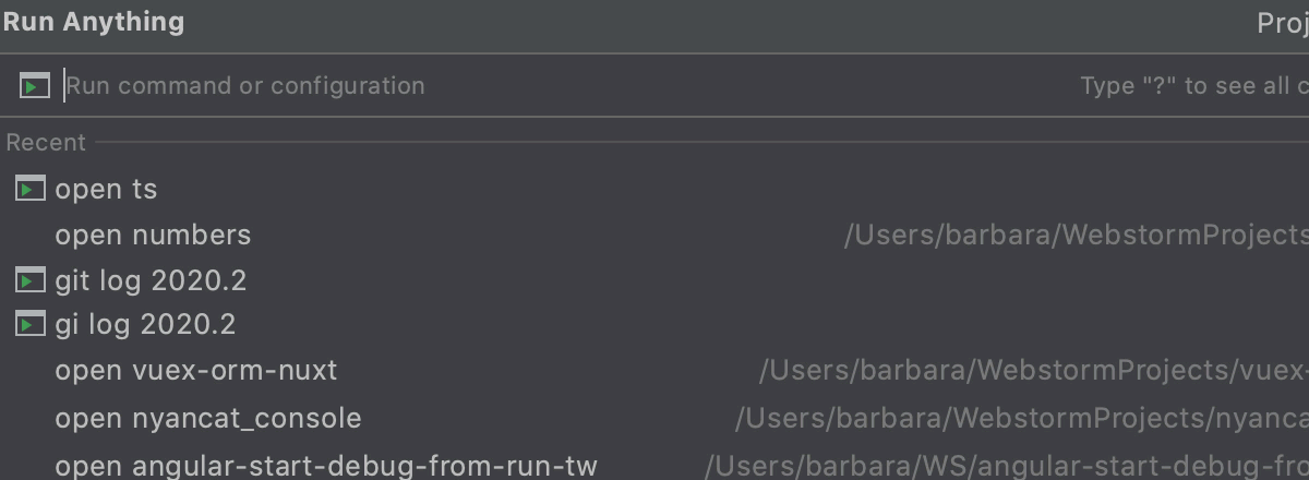 run npm install webstorm
