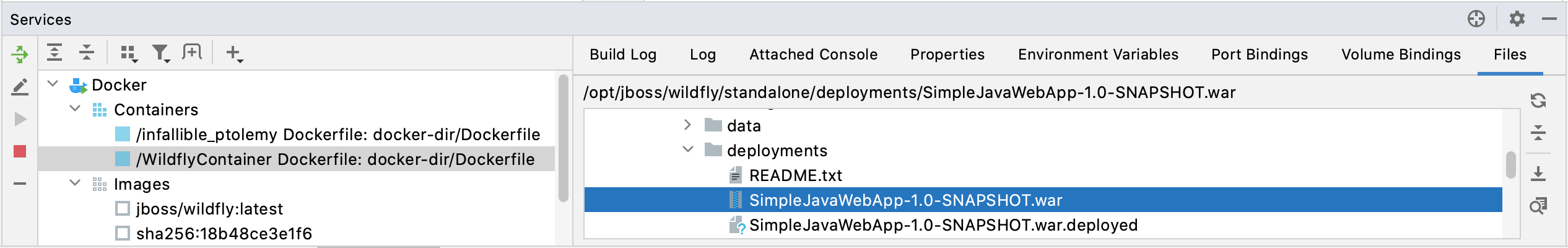 Services tool window with running Wildfly container and deployed Java app