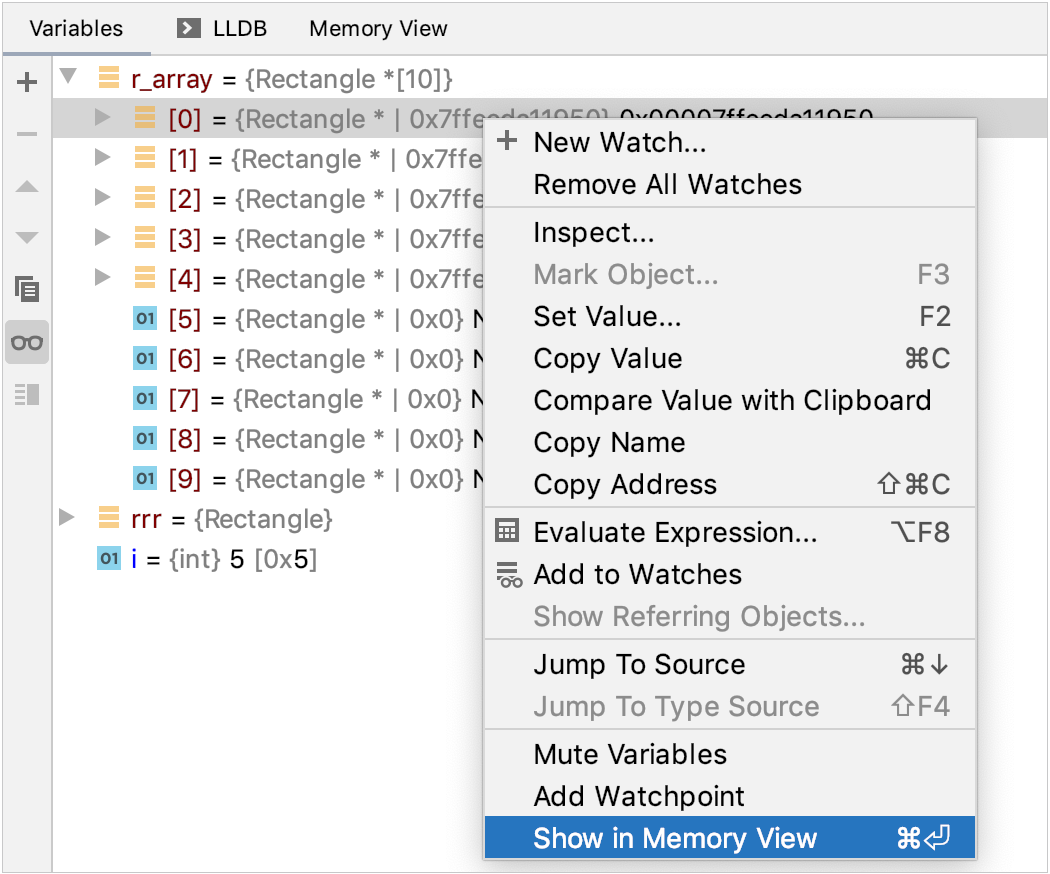 show a variable in memory view