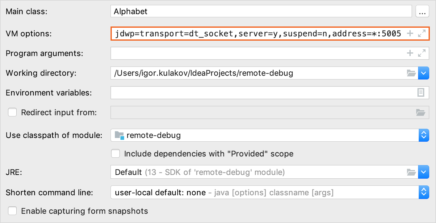 VM options field in the run/debug configuration of the host app