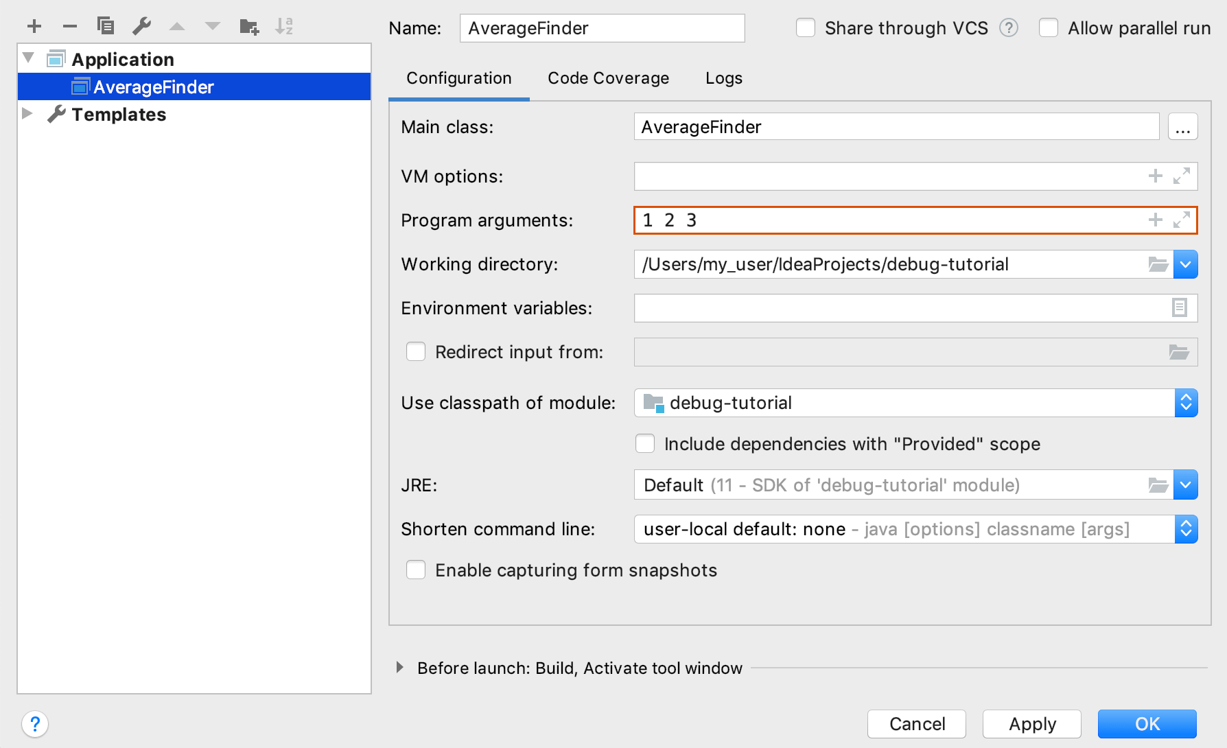 Arguments are entered in the Program arguments field