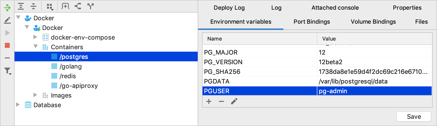 The Environment Variables tab