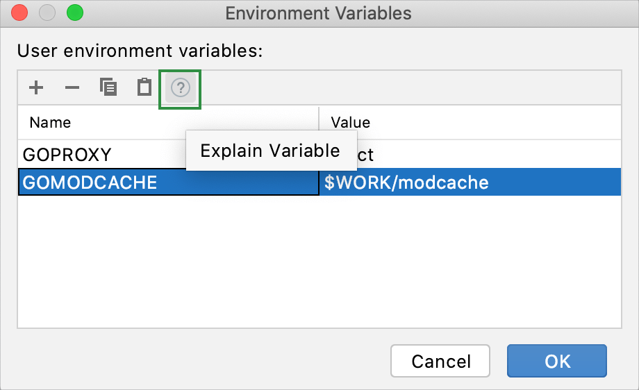 Introduce an environment variable in a new project
