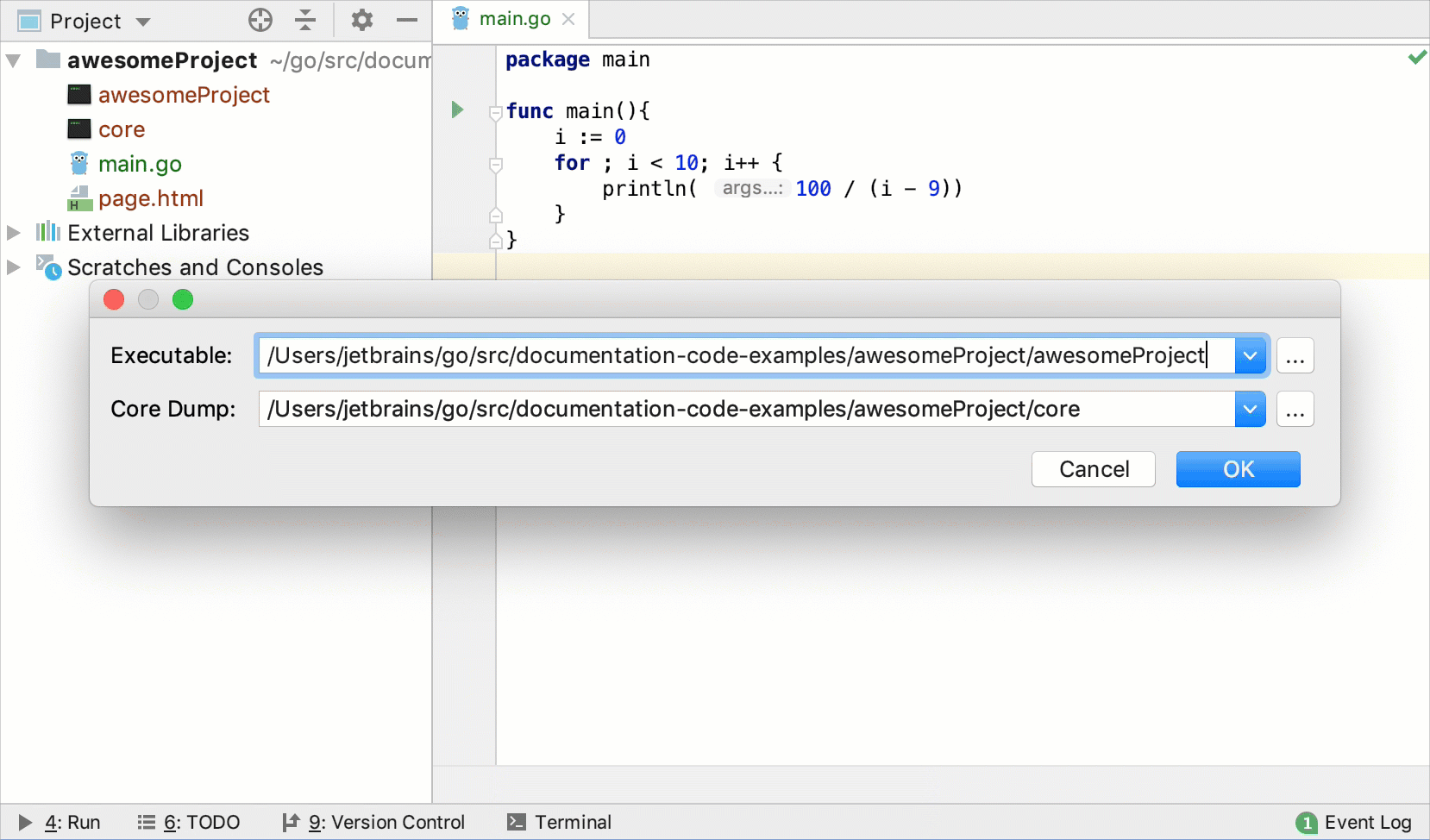 Open the Go core dump in IntelliJ IDEA