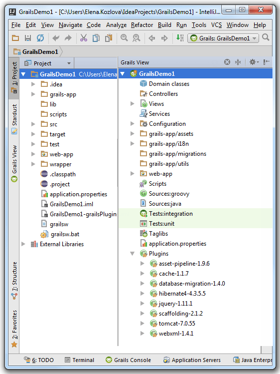 Grails compare project and view