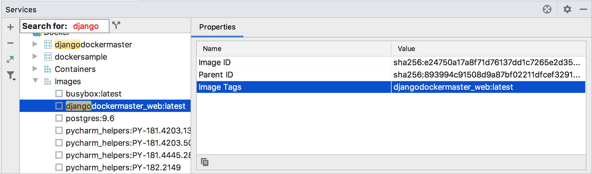 Search for a docker image in the Services tool window