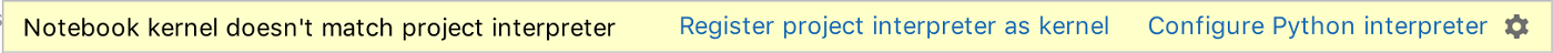 Warning requesting to register interpreter as a kernel