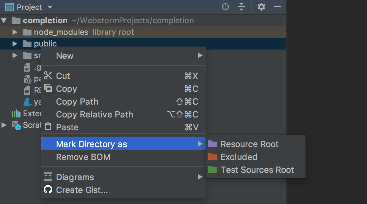 Configuring Project Structure Webstorm