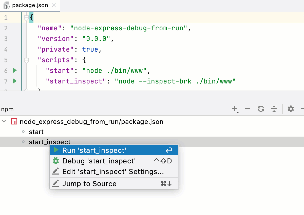 Npm Phpstorm