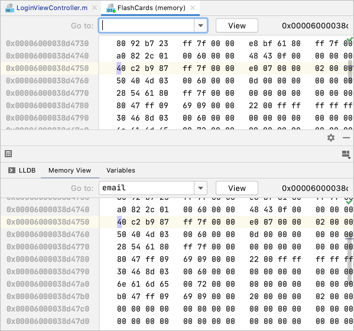 Memory view in the eritor