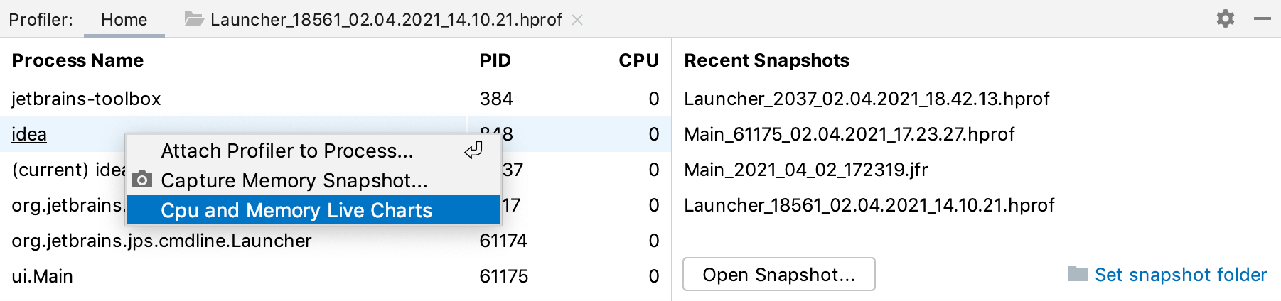 Accessing live charts for a running process