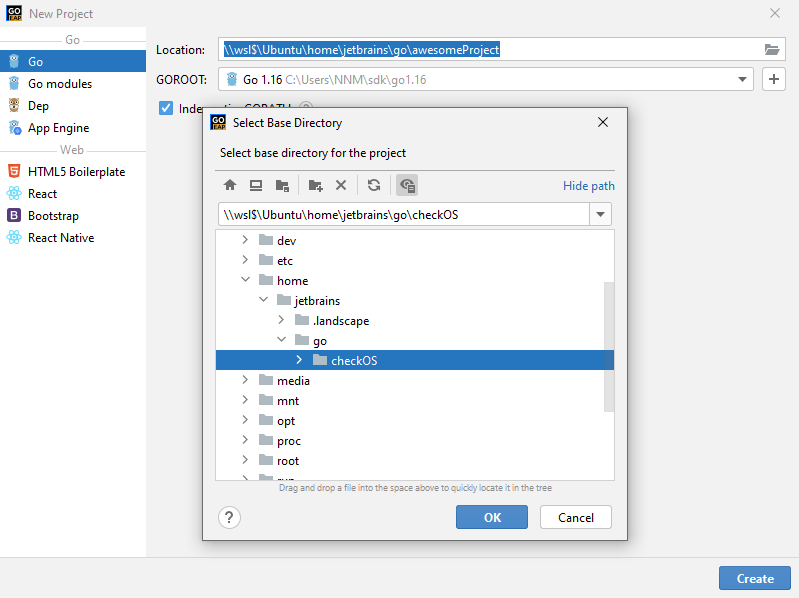 create project folder in wsl