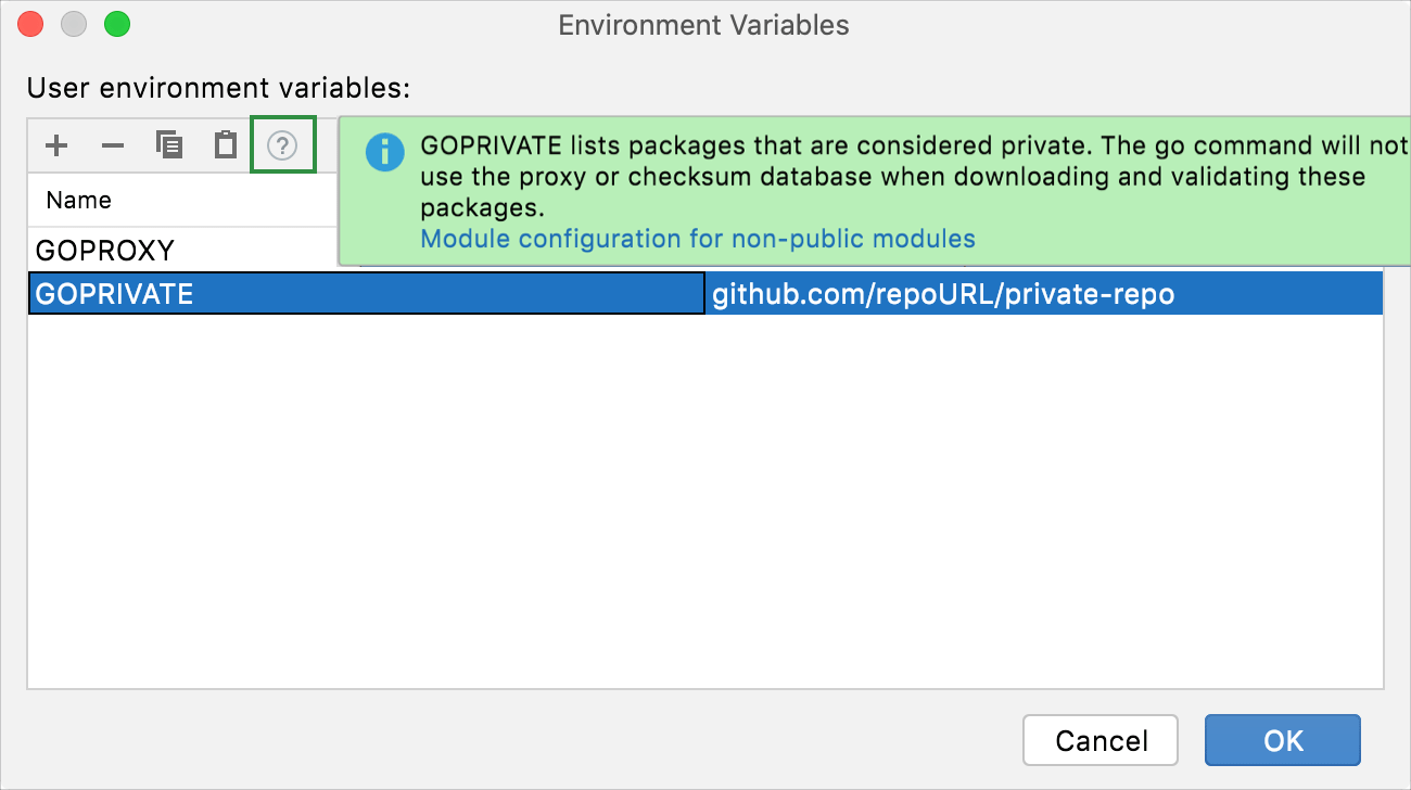 Introduce an environment variable in a new project