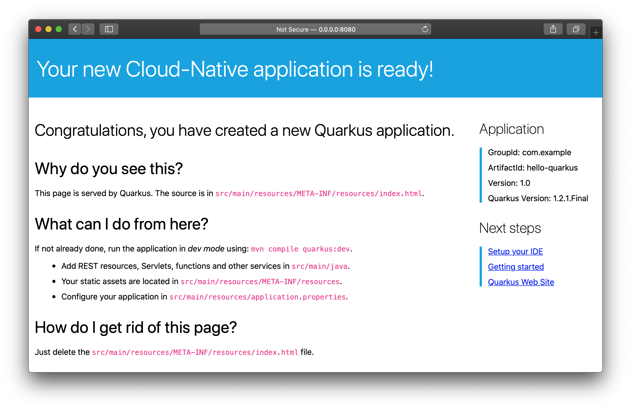 Quarkus application start page