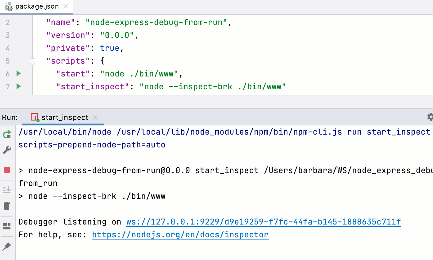 phpstorm node js