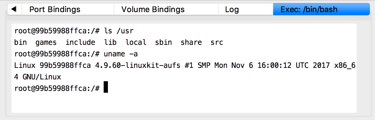 The Exec tab with /bin/bash running