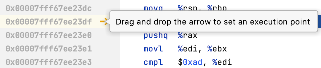 Set execution point in disassembly