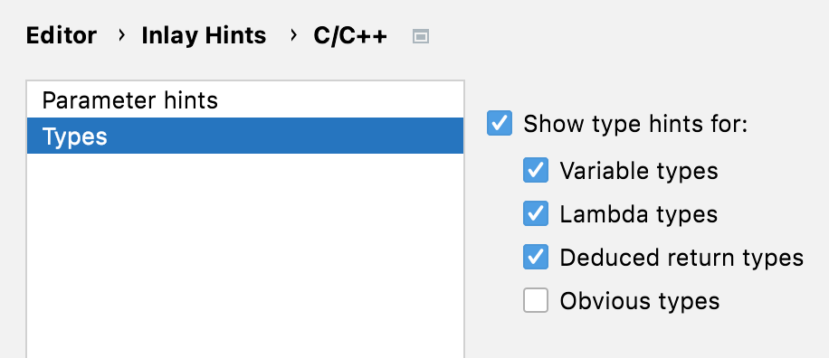 Type hints settings