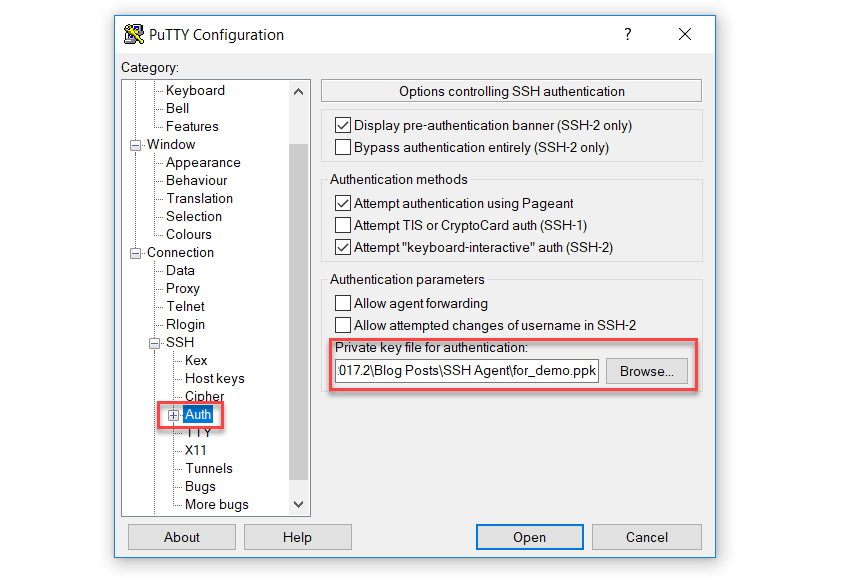 使用 PuTTY 创建 SSH 隧道 (Windows)