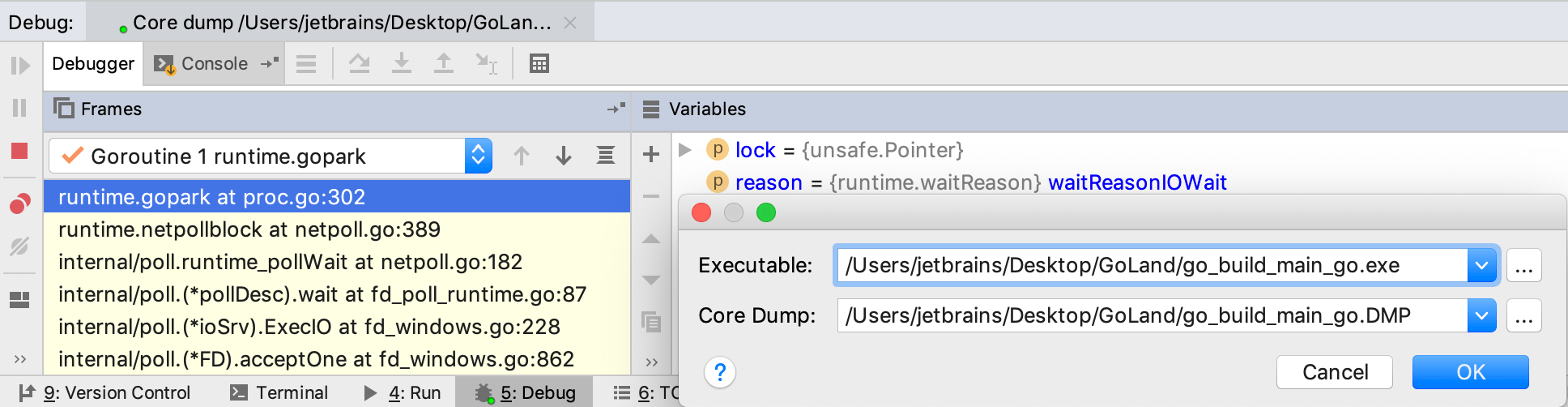 Open the minidump file in IntelliJ IDEA